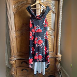 Beautiful Rose pattern Dress (CHARLOTTE RUSSE)